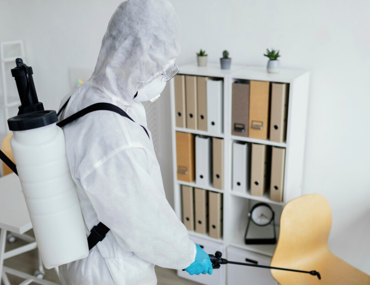 how-to-find-the-best-pest-control-services-in-gurgaon