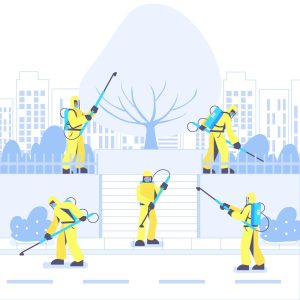 pest-control-service-in-south-delhi