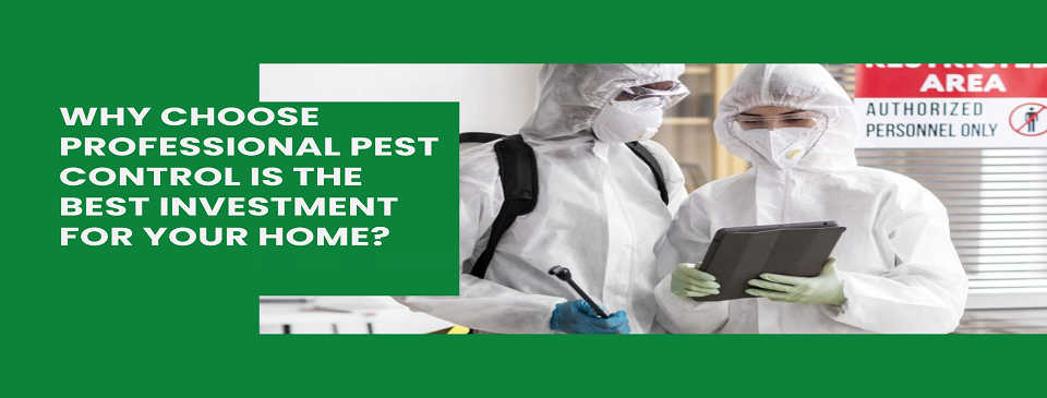 Why Choose Professional Pest Control Is the Best Investment for Your Home?