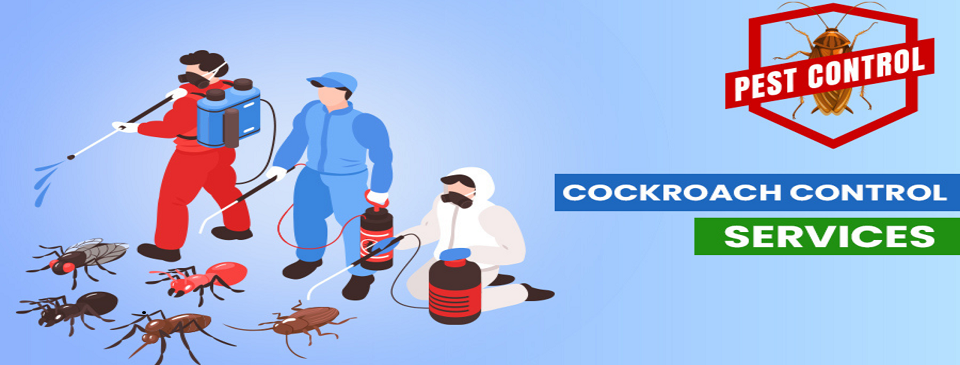 Which Pest Control Method Works Best? A Complete Comparison