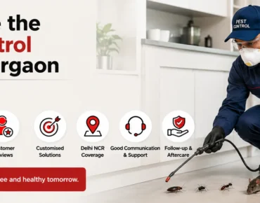 Pest control services in Gurgaon