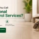 Professional rat control services for removing rat infestation in home