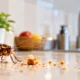 Cockroach in a house kitchen attracted to food crumbs